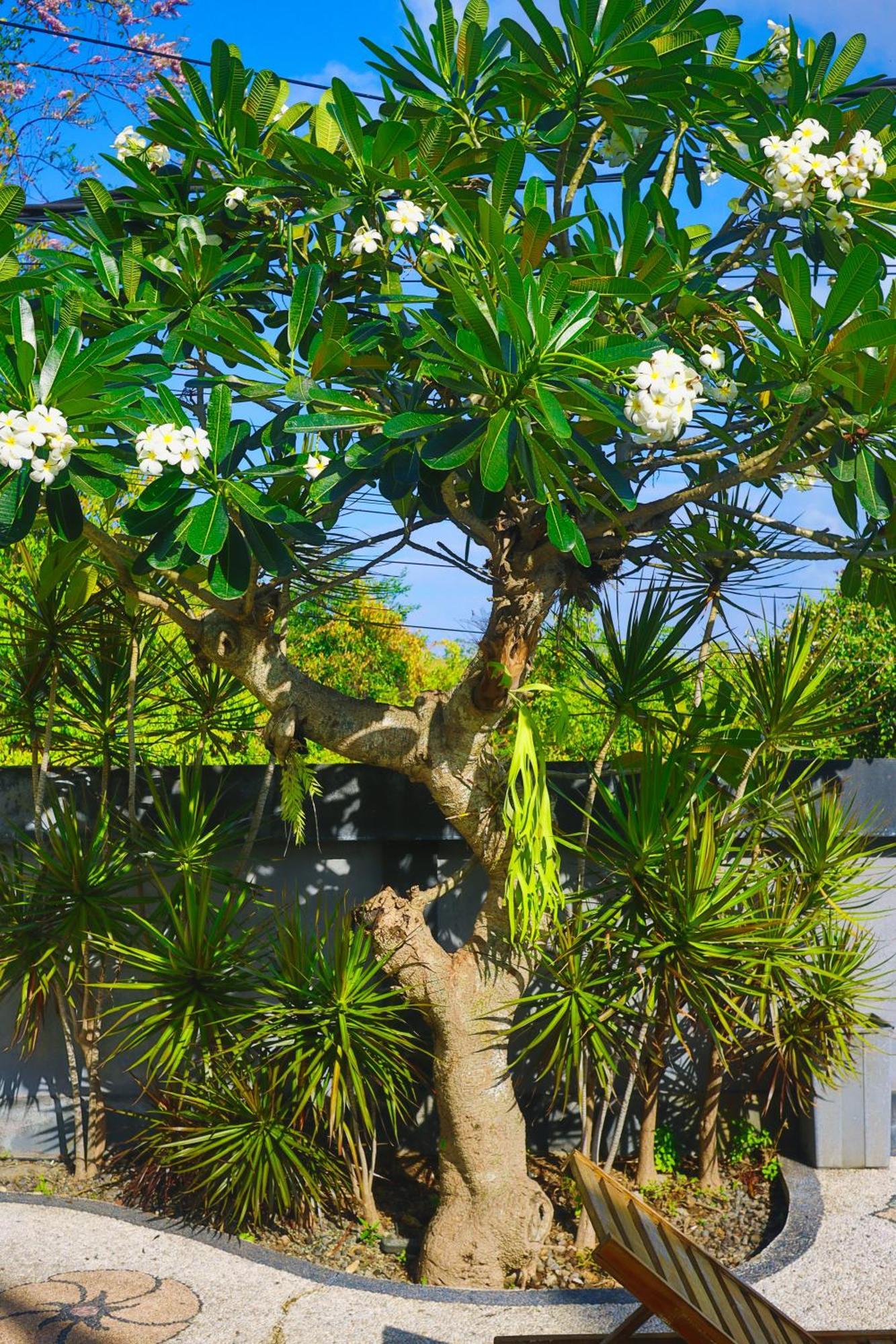 Tegar Penida Paradise Toyapakeh Exterior foto